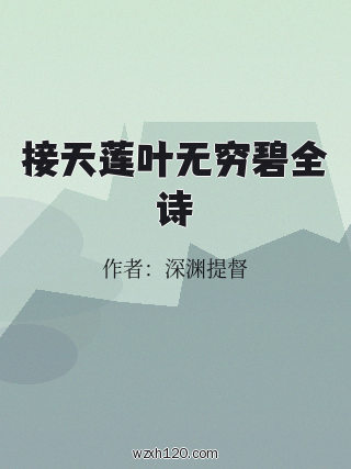 接天莲叶无穷碧全诗