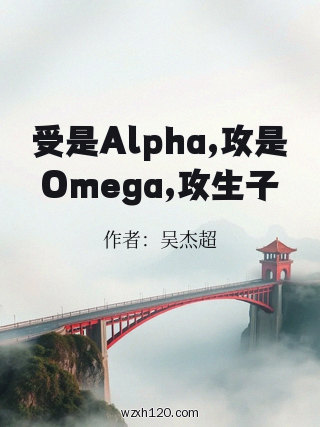 受是Alpha,攻是Omega,攻生子