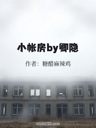 小帐房by卿隐
