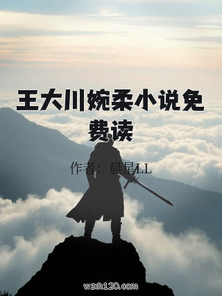 王大川婉柔小说免费读