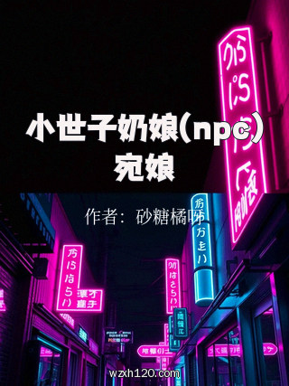 小世子奶娘(npc)宛娘