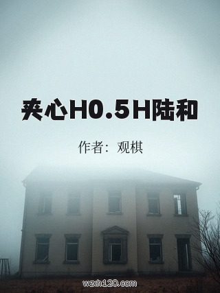 夹心H0.5H陆和
