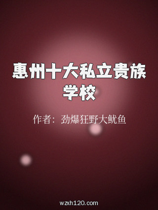 惠州十大私立贵族学校