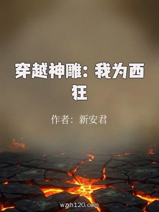 穿越神雕:我为西狂