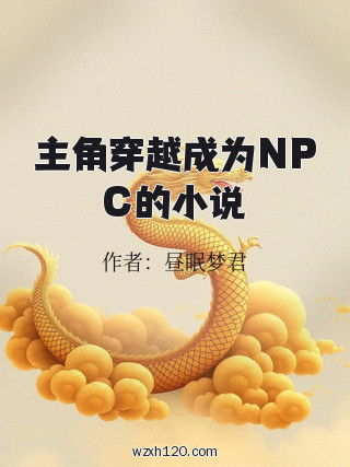 主角穿越成为NPC的小说