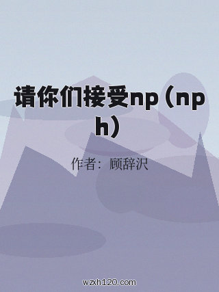 请你们接受np(nph)