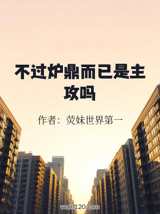 不过炉鼎而已是主攻吗