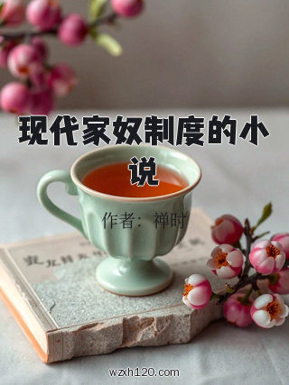 现代家奴制度的小说