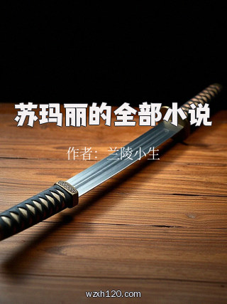 苏玛丽的全部小说