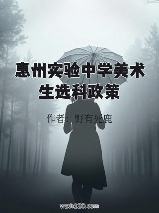 惠州实验中学美术生选科政策