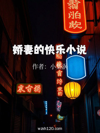 娇妻的快乐小说