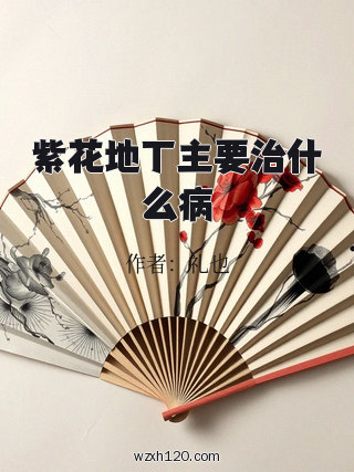紫花地丁主要治什么病