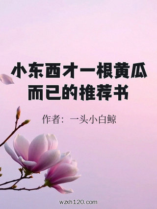 小东西才一根黄瓜而已的推荐书