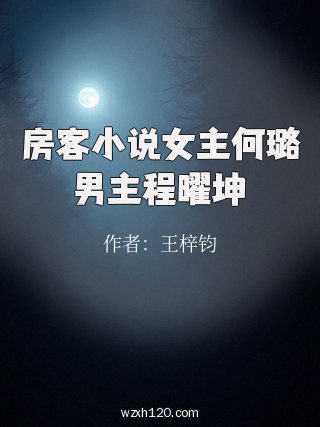 房客小说女主何璐男主程曜坤