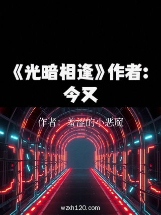《光暗相逢》作者:今又