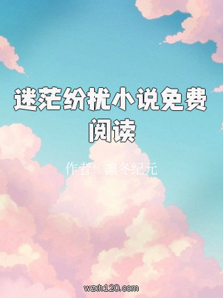 迷茫纷扰小说免费阅读