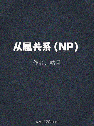 从属关系(NP)