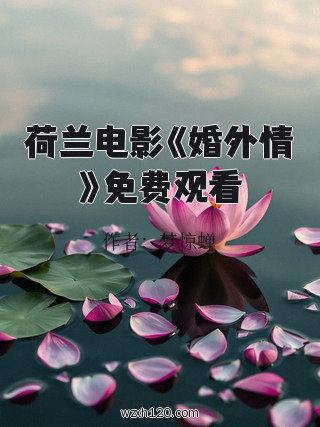 荷兰电影《婚外情》免费观看