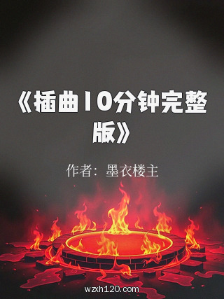 《插曲10分钟完整版》
