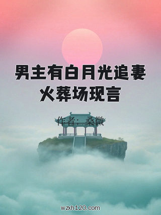 男主有白月光追妻火葬场现言
