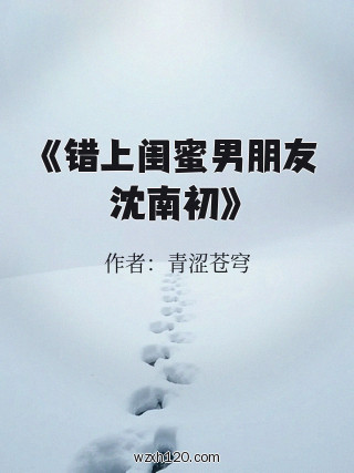 《错上闺蜜男朋友沈南初》