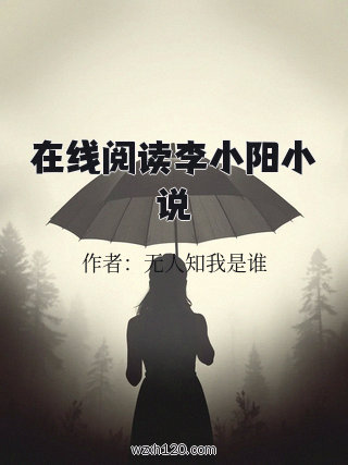 在线阅读李小阳小说