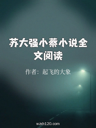 苏大强小蔡小说全文阅读