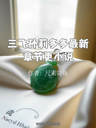 三飞孙莉多多最新章节更小说