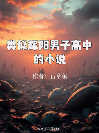 类似辉阳男子高中的小说
