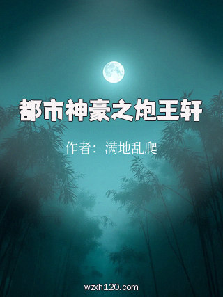 都市神豪之炮王轩