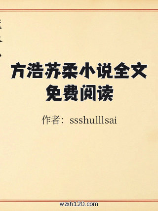 方浩苏柔小说全文免费阅读