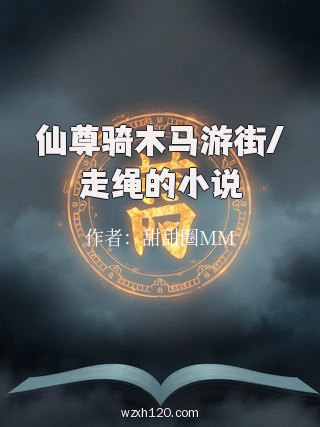 仙尊骑木马游街/走绳的小说