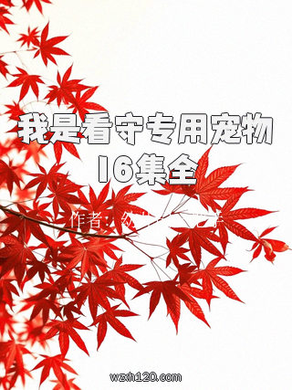 我是看守专用宠物16集全
