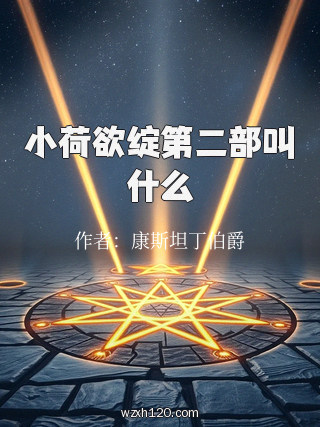 小荷欲绽第二部叫什么