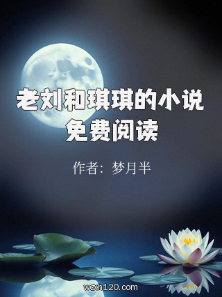 老刘和琪琪的小说免费阅读
