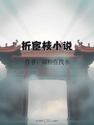 折宦枝小说