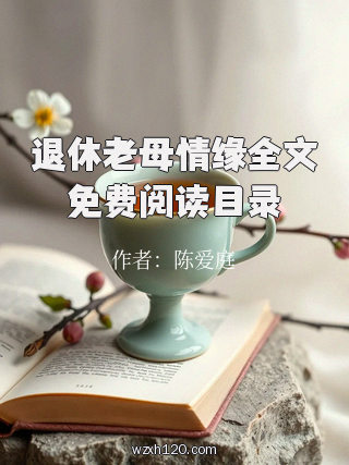退休老母情缘全文免费阅读目录