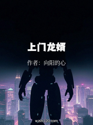 上门龙婿