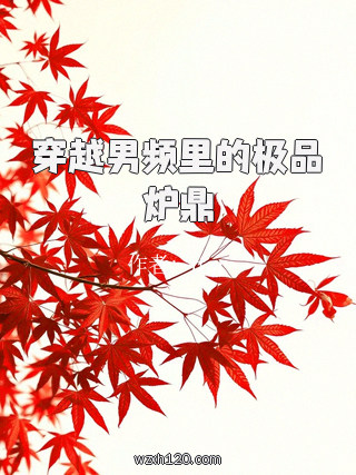 穿越男频里的极品炉鼎