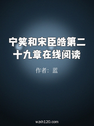 宁笑和宋臣皓第二十九章在线阅读