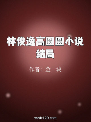 林俊逸高圆圆小说结局