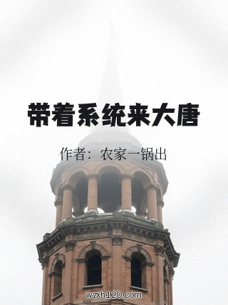 带着系统来大唐