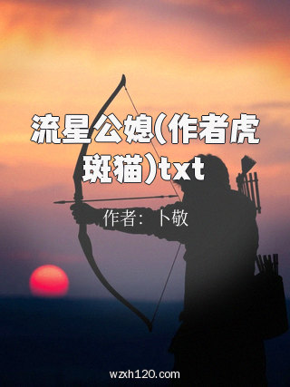 流星公媳(作者虎斑猫)txt