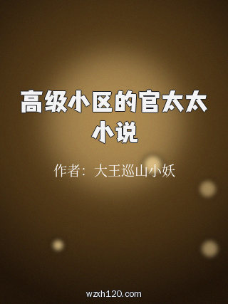 高级小区的官太太小说