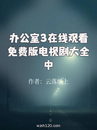办公室3在线观看免费版电视剧大全中