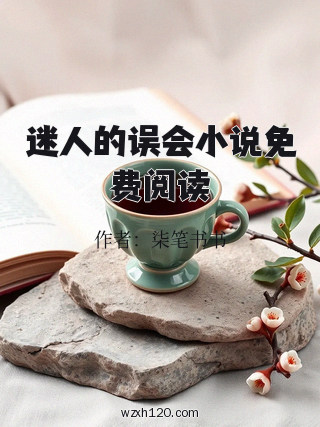 迷人的误会小说免费阅读