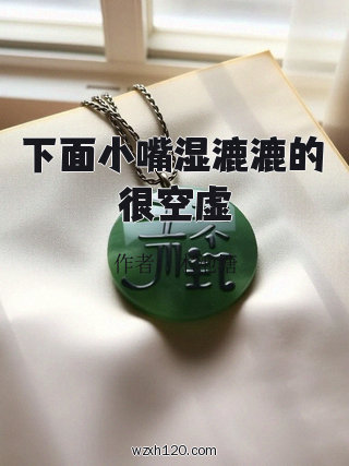 下面小嘴湿漉漉的很空虚