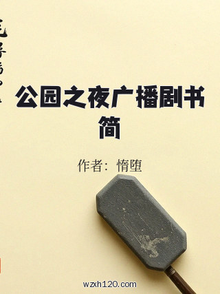 公园之夜广播剧书简