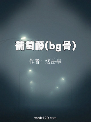 葡萄藤(bg骨)