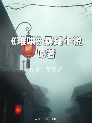 《难哄》桑延小说原著